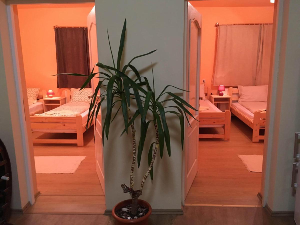 JoseniBicsak Apartmanアパートメント エクステリア 写真